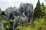 Shilin (The Stone Forest) is an otherworldly fantasy of twisted limestone formations that comprise the world’s largest natural stone maze. Geologists say the structures originated 200 million years ago with the interaction of limestone, sea water, rainwater and seismic upheavals. The bizarre pinnacles that resulted are of the distinctive type of limestone called karst, the same geology that one finds in Guilin.