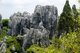 China: Stone Forest (Shilin), Shilin Yi Autonomous County, Yunnan Province